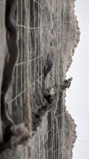 Bérengère Lewers III 