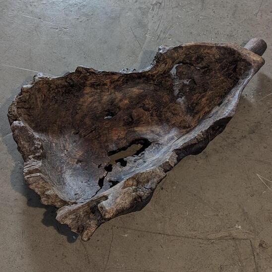 Tall olive tree bowl 84cm long